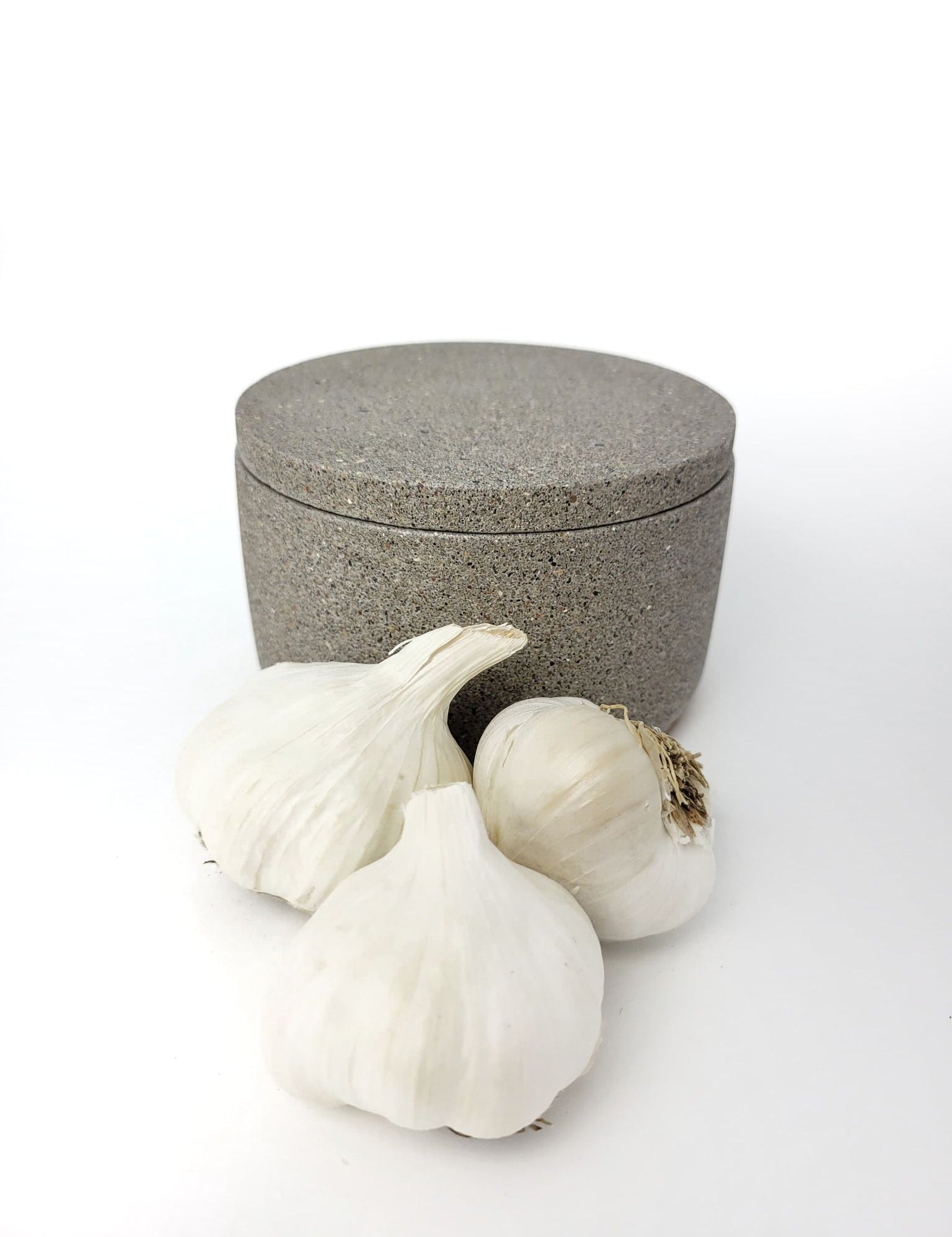 GarlicContainer4.jpg